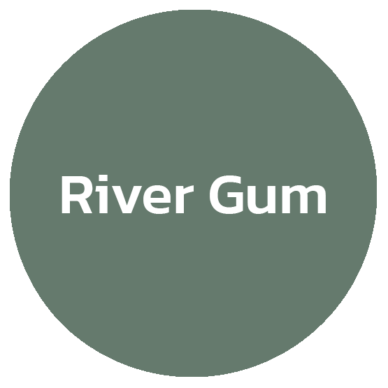 rivergum ลิเวอร์กัม